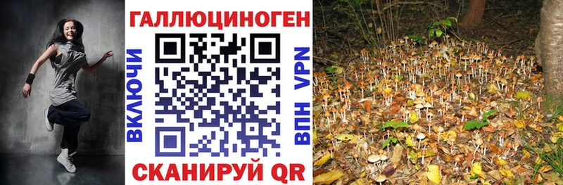 Псилоцибиновые грибы Cubensis мега ТОР Пестово